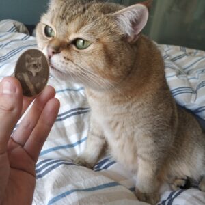 Laser_Test_Kater